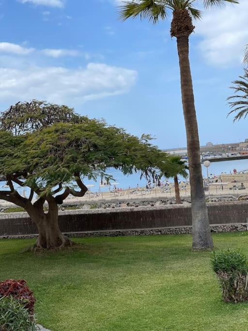 Apartamento Puerto Rico - Primera Linea De Playa Mogan Ngoại thất bức ảnh